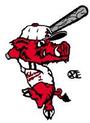 Razorback Baseball profile picture