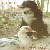 rohpop profile picture