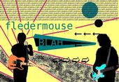 Fledermouse profile picture