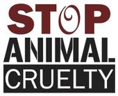 STOP ANIMAL CRUELTY! profile picture