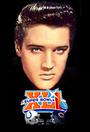 Elvis Presley profile picture