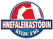 hnefaleikastodin