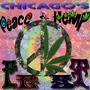 Hemp and Peace Fest profile picture