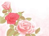 English_Rose profile picture