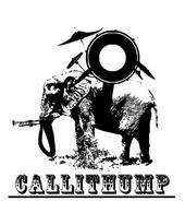 Callithump profile picture