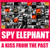 SPY ELEPHANT profile picture