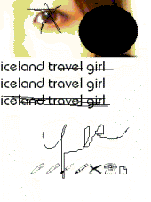 iceland travel girl profile picture