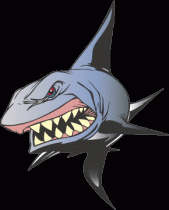 shady shark profile picture