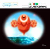 Atlantic Drone profile picture