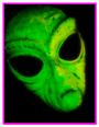 Crash Roswell profile picture