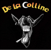 DelaColline profile picture