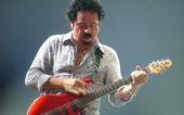 Steve Lukather (Fans/Tribute) profile picture