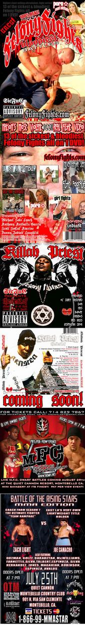 FELONY FIGHTS MUSIC feat. ZODIAK profile picture