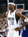 nick Bka CP3,Tracy McGrady,Jason Terry profile picture