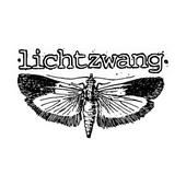 lichtzwang profile picture