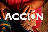 ACCION International profile picture