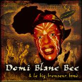 Domi Blanc-Bec & Big Bronzeur Band profile picture