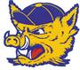 Texas A&I Javelinas Fans profile picture