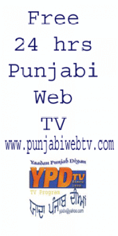 YPDTV PUNJABI WEB TV profile picture