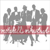 Molehill Orkestrah profile picture