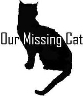 Our Missing Cat profile picture