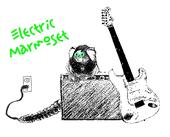 Electric Marmoset profile picture