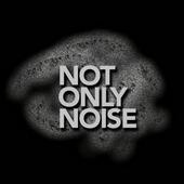 NOT ONLY NOISE profile picture