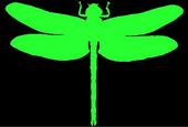 atomar dragonfly profile picture