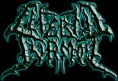 Cerebric Turmoil (Searching new Vocalist) profile picture