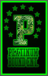 Platinum Bound Entertainment profile picture