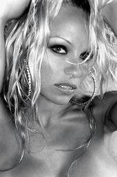 Pamela Anderson profile picture