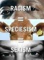 Animal Activists United profile picture