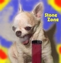 The Stone Zone Show profile picture