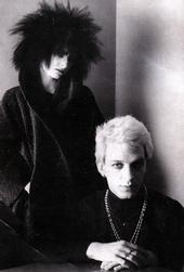 Siouxsie and the Banshees profile picture