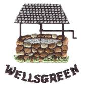 Wellsgreen Golf profile picture