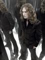 Dan Hawkins profile picture