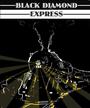 The Black Diamond Express profile picture