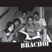 Les BrachoÃ¯ profile picture