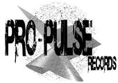 PRO-PULSE RECORDS profile picture