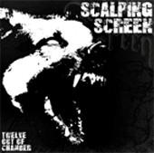 Scalping Screen profile picture