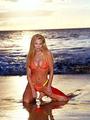 Cindy Margolis profile picture