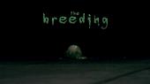 The Breeding profile picture