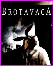 Brotavaca profile picture