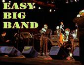 Easy Big Band profile picture