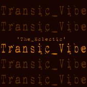 TRANSIC VIBE profile picture