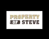 The Property of Steve(needs a Drummer!) profile picture