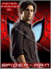 The Spectacular Spidey *On a Break* profile picture