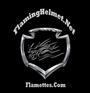 FlamingHelmet.Net profile picture