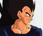 Prince Vegeta profile picture