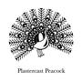 Plastercast Peacock profile picture